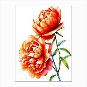 Watercolor Peonies 1 Canvas Print