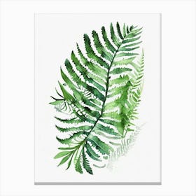 Lace Fern Watercolour Canvas Print