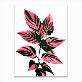 Pink Plant 1 Canvas Print