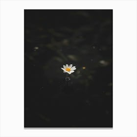 Single Flower In Water 21 Canvas Print