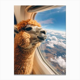 Llama On The Plane Canvas Print