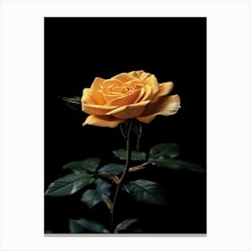 Yellow Rose 2 Canvas Print