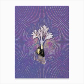 Vintage Autumn Crocus Botanical Illustration on Veri Peri n.0167 Canvas Print