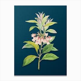 Vintage Chinese New Year Flower Botanical Art on Teal Blue n.0721 Canvas Print