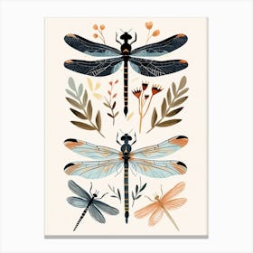 Colourful Insect Illustration Dragonfly 4 Canvas Print