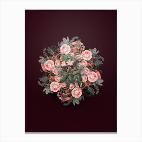 Vintage Turraea Pinnata Floral Wreath on Wine Red n.0988 Canvas Print