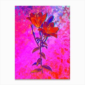 Orange Bulbous Lily Botanical in Acid Neon Pink Green and Blue n.0077 Canvas Print