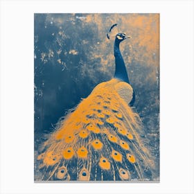 Blue & Orange Peacock In The Wild 4 Canvas Print