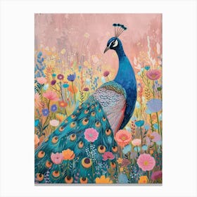 Peacock In The Meadow Sketch 3 Canvas Print