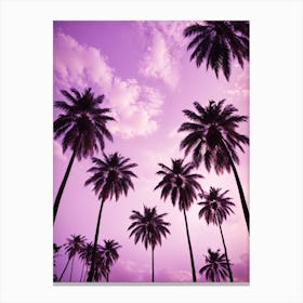 Purple Sky With Palm Trees Canvas Print