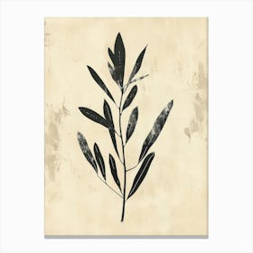 Olive Branch Canvas Print Canvas Print