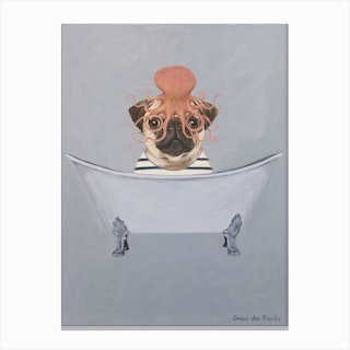 Pug With Octopus S In Bathtub Canvas Print