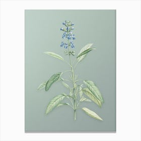 Vintage Sage Plant Botanical Art on Mint Green n.0196 Canvas Print