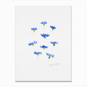 Blue Cornflowers Watercolor Artwork Canvas Print