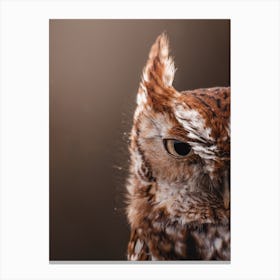 Screech Owl Profile Canvas Print