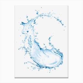 Water Splash Canvas Print