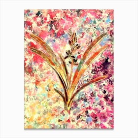Impressionist Boat Orchid Botanical Painting in Blush Pink and Gold Canvas Print