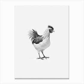 Chicken B&W Pencil Drawing 6 Bird Canvas Print