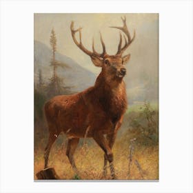 Vintage Stag In A Field Canvas Print