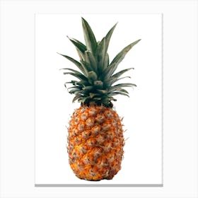 Pineapple Isolated On White Canvas Print