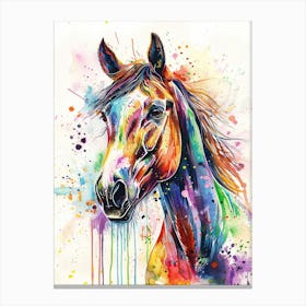 Horse Colourful Watercolour 3 Canvas Print
