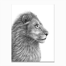 The Lion Canvas Print