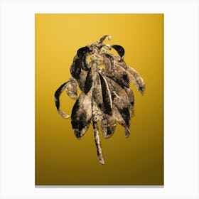 Gold Botanical Spurge Laurel Weeds on Mango Yellow n.2116 Canvas Print