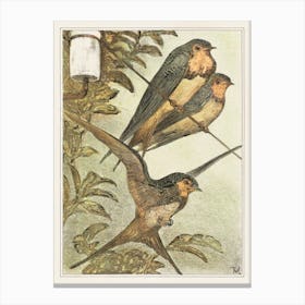 Three Swallows, Theo Van Hoytema Canvas Print