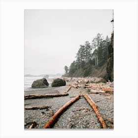 Driftwood On Beach Canvas Print