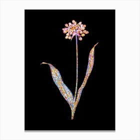 Stained Glass Golden Garlic Mosaic Botanical Illustration on Black Canvas Print