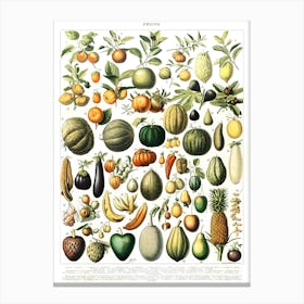 Fruits and Vegetables Vintage Canvas Print