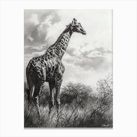 Giraffe In The Grass Pencil Drawing 8 Canvas Print