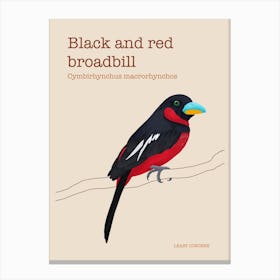 Black and red broadbill poster Canvas Print