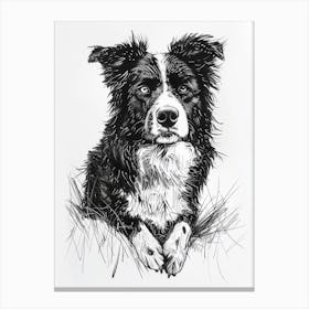 Australian Shepherd Dog Line Sketch 2 Canvas Print