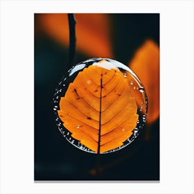 Water Droplet Canvas Print