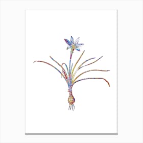 Stained Glass Rain Lily Mosaic Botanical Illustration on White Canvas Print