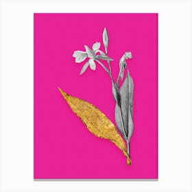 Vintage Bandana of the Everglades Black and White Gold Leaf Floral Art on Hot Pink n.0572 Canvas Print
