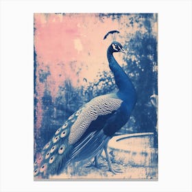 Peacock In The Fountain Pink & Blue Cyanotype Inspired 1 Canvas Print