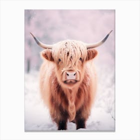 Highland Cow In The Snow Realistic Pink Photography 4 Canvas Print