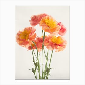 Marigold Flowers Acrylic Painting In Pastel Colours 5 Canvas Print