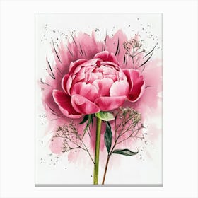 Pink Peony Canvas Print Canvas Print