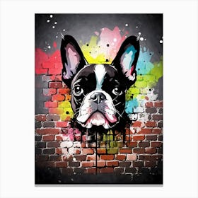 Aesthetic Boston Terrier Dog Puppy Brick Wall Graffiti Artwork 1 Canvas Print
