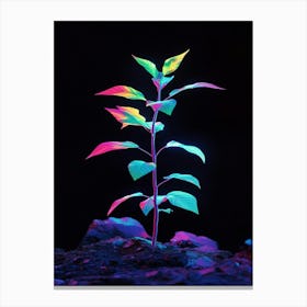 Neon Plant 42 Canvas Print