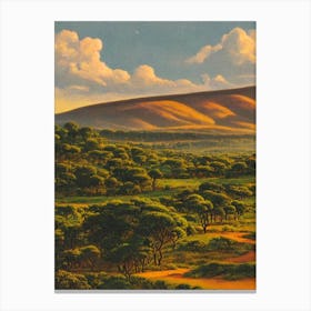 Addo Elephant National Park South Africa Vintage Poster Canvas Print