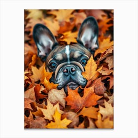 French Bulldog In Autumn Leaves 2 Canvas Print