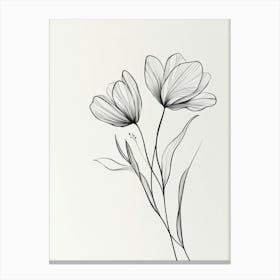 Line Drawing Of A Leaf 25 Canvas Print