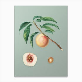 Vintage White Speckled Peach Botanical Art on Mint Green n.0981 Canvas Print