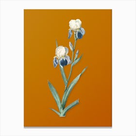 Vintage Elder Scented Iris Botanical on Sunset Orange n.0663 Canvas Print