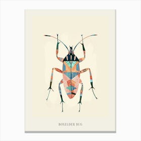 Colourful Insect Illustration Boxelder Bug 7 Poster Canvas Print