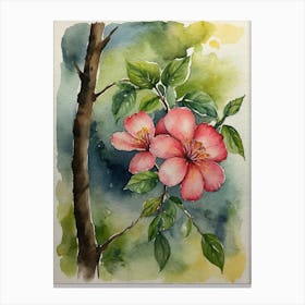 Hibiscus Canvas Print